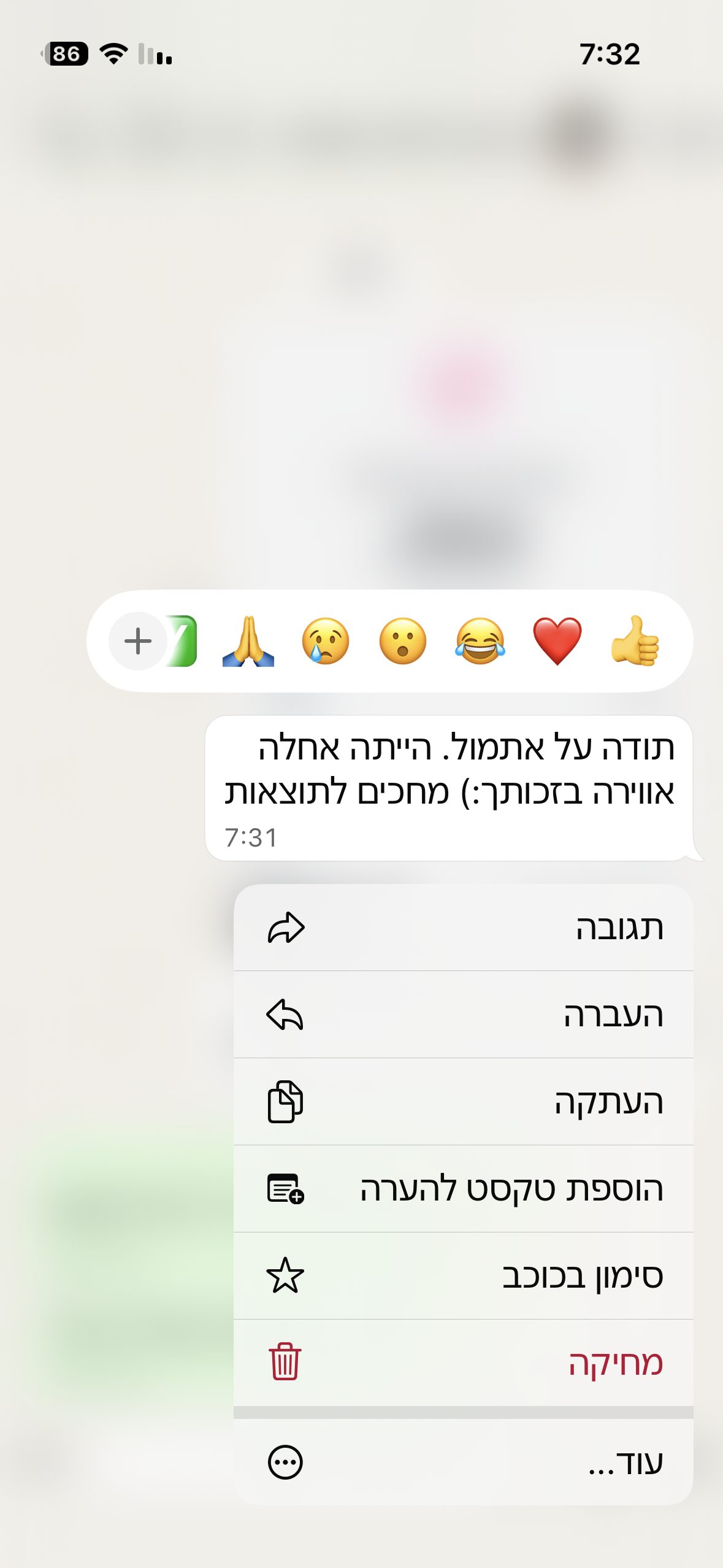 המלצה 11