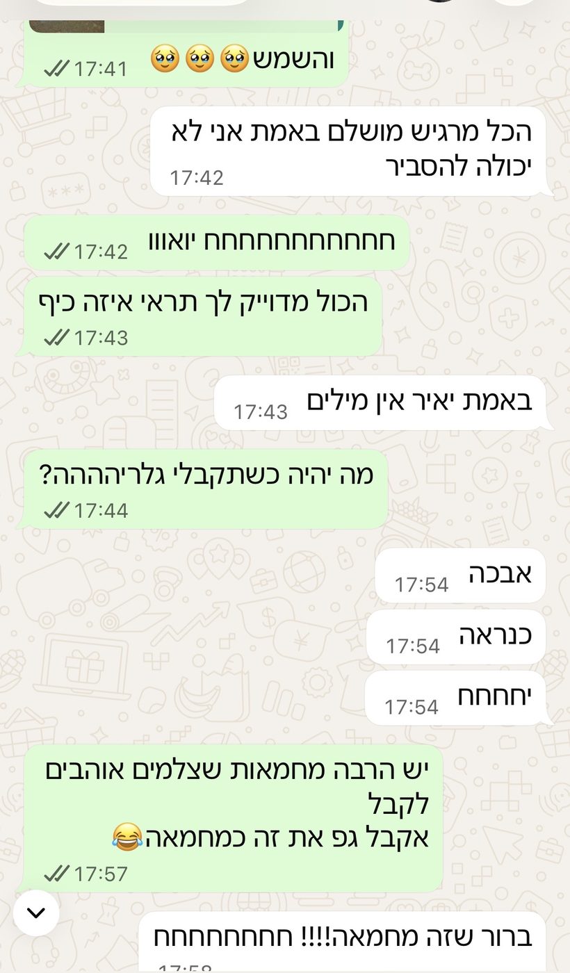 המלצה 14