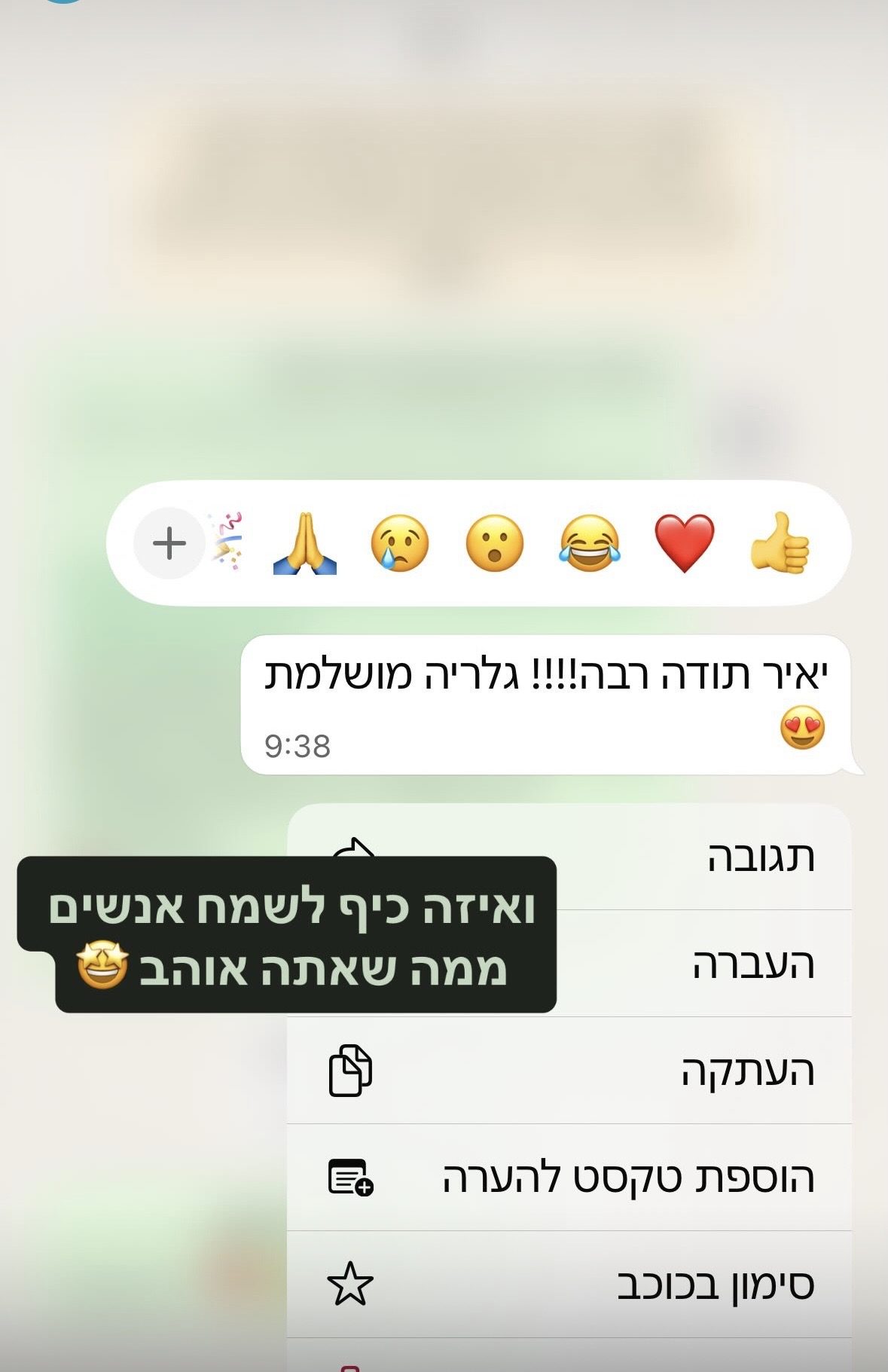 המלצה 4