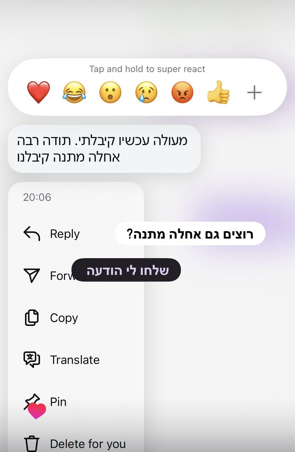 המלצה 8