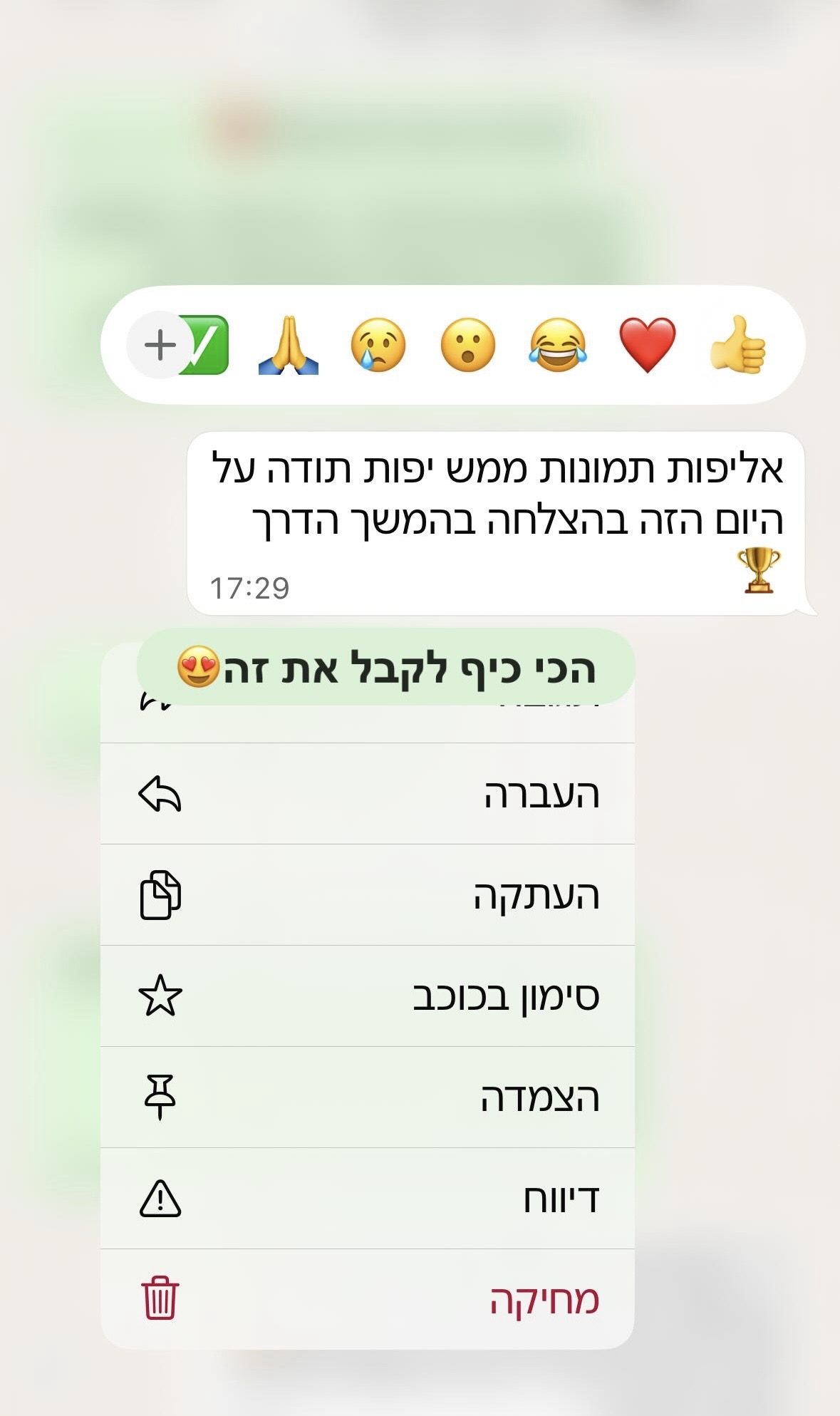 המלצה 9